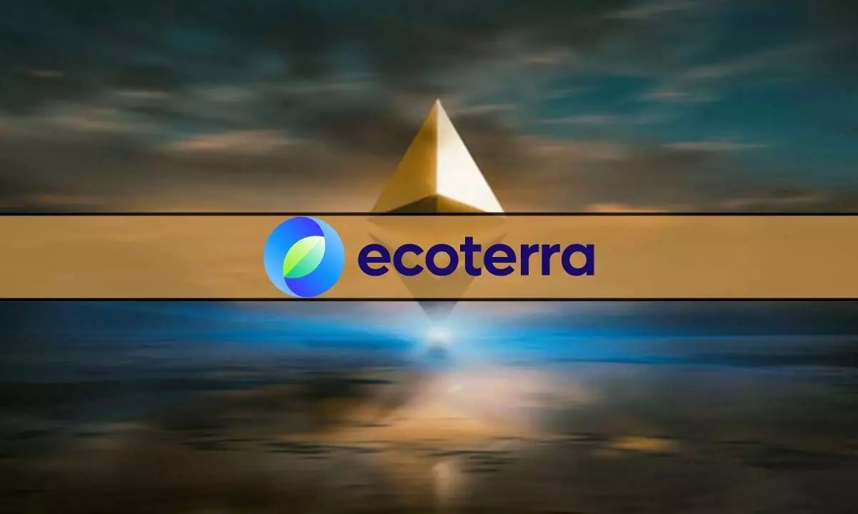 A Look at the Current State of the Crypto Market and the Rise of Ecoterra