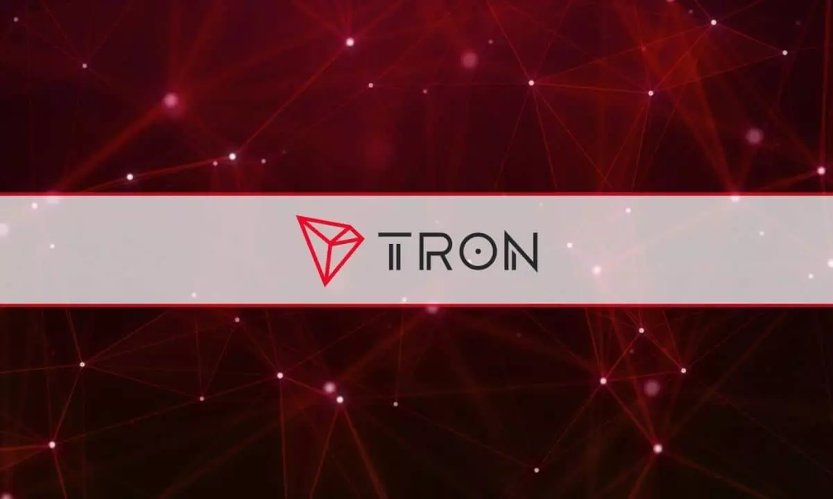 The Use of Tron Cryptocurrency by Hamas to Finance Attacks Against Israel