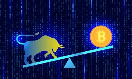 The Future of Bitcoin and Crypto Prices in 2024: A Contrarian Perspective