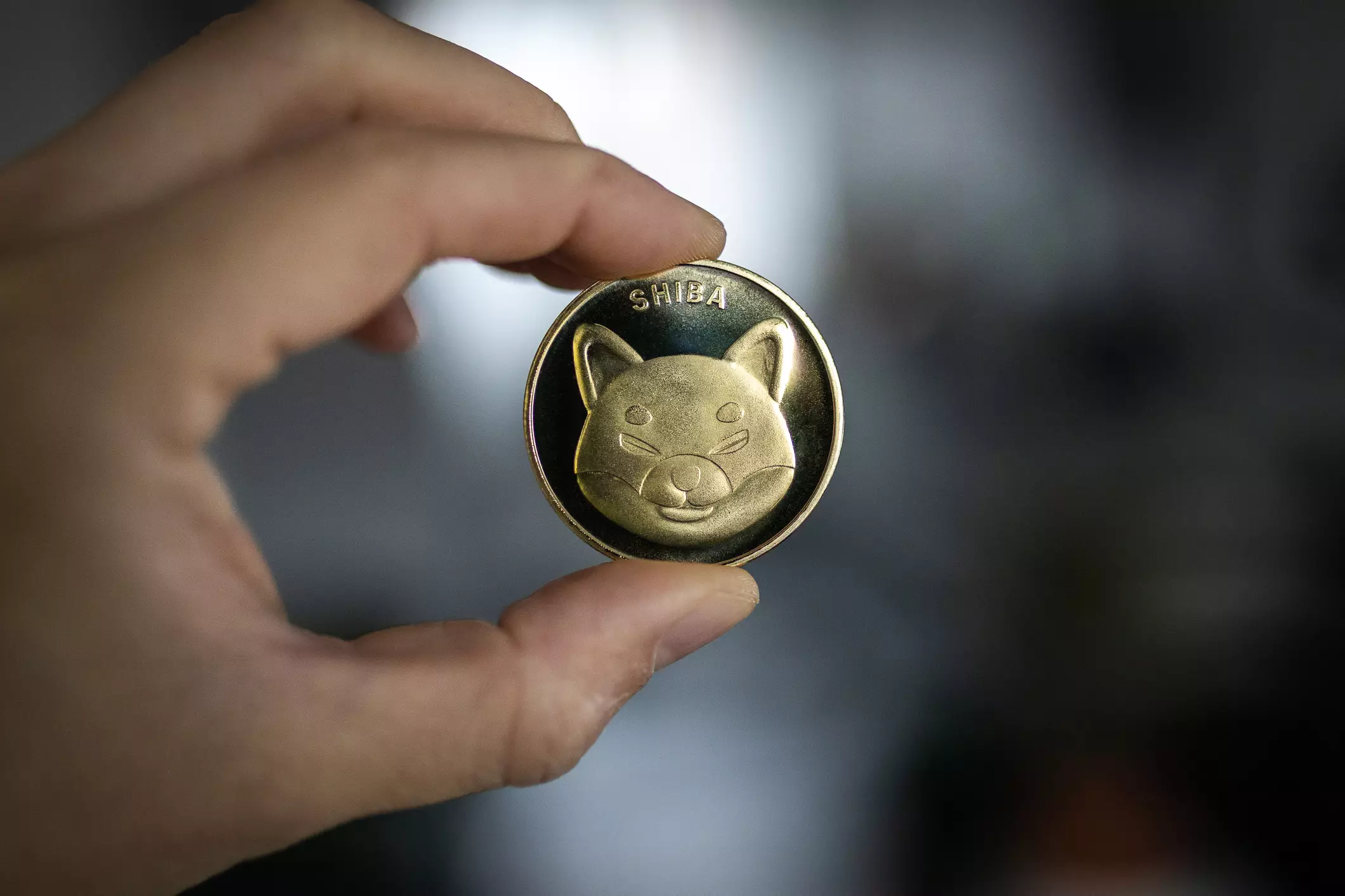The Shiba Inu Token Burn Rate Surges 5,000% in 24 Hours