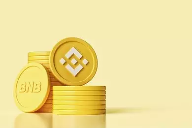 The Resurgence of Binance Coin: A Promising Future Ahead
