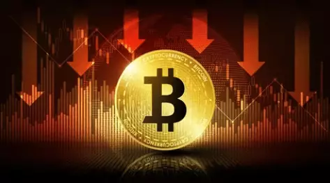 The Future of Bitcoin: A Potential Price Correction Ahead?