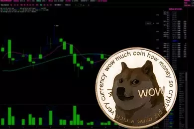 The Future of Dogecoin: A Critical Analysis