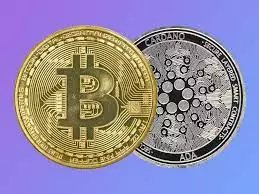 A Critical Analysis of Bitcoin and Cardano Price Predictions