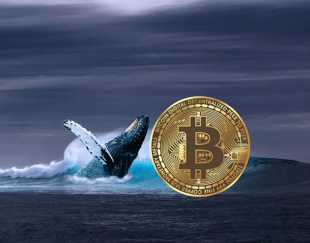 Bitcoin Whales Accumulate Massively Ahead of Halving Event
