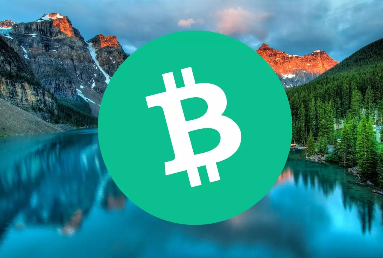 The Changing Landscape of Bitcoin Cash and the Crypto Market