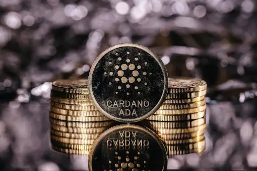 Is Cardano (ADA) Really Over? Analyzing the Recent Price Drop