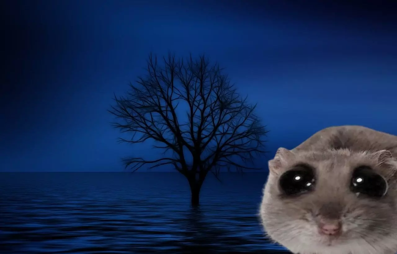 The Rise and Fall of HAMMY and the Emergence of DOGEVERSE
