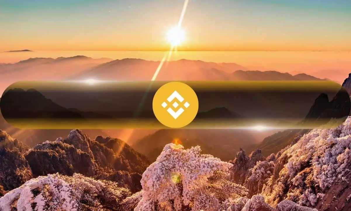 The Rise of Binance Coin in 2024: A Story of Resilience and Growth