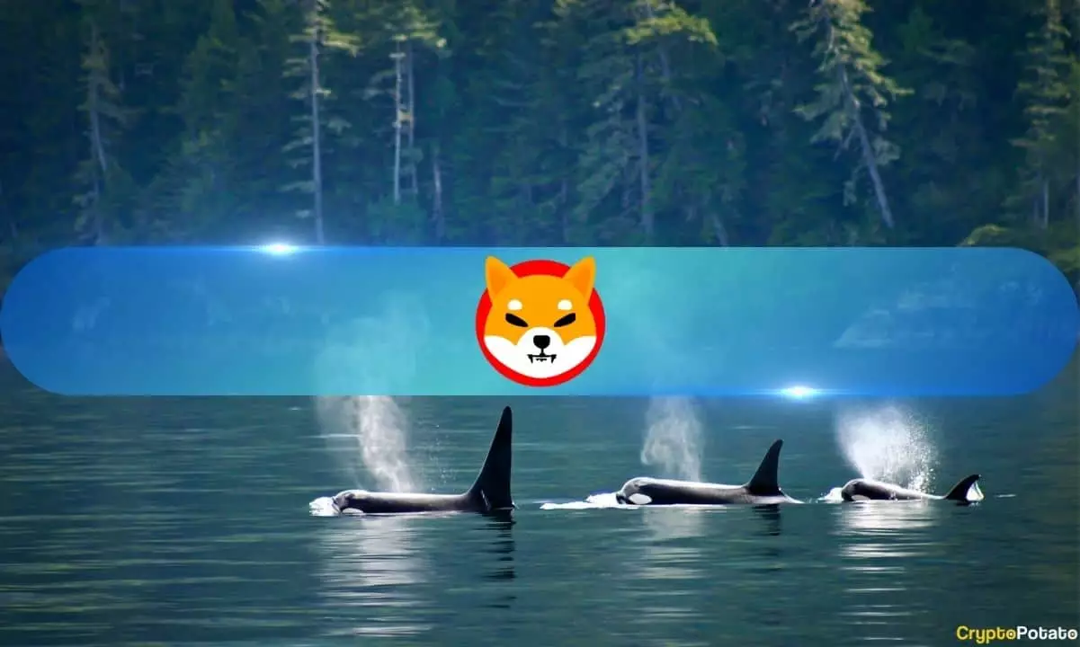Unveiling the Cryptocurrency Whale Phenomenon: A Deep Dive into the SHIB Whale’s Buying Spree