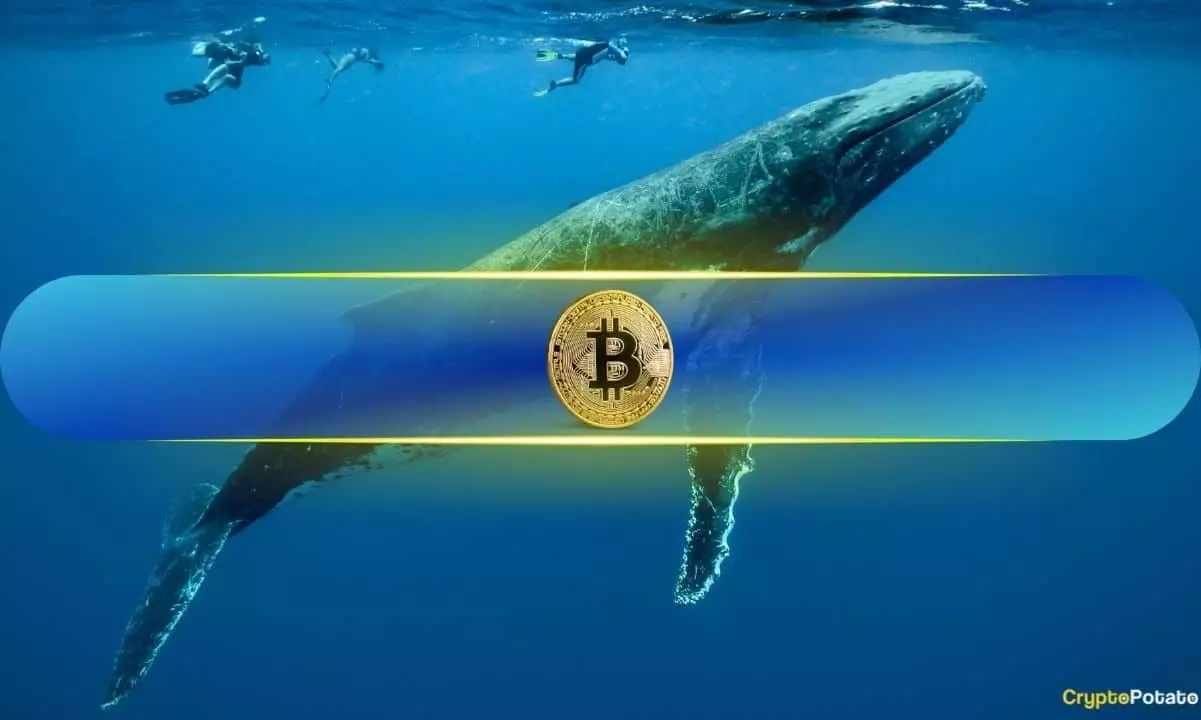 Increased Accumulation of Bitcoin by Whales Signals Confidence Among Wealthy Investors