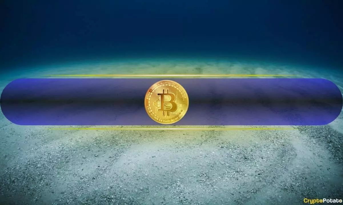 Key On-Chain Metrics Indicating Bitcoin Bottom and Rally Potential