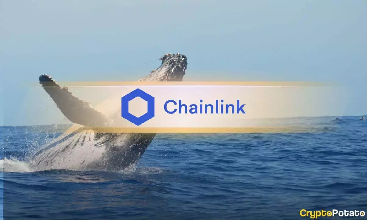 Crypto Market Respite: Chainlink Accumulation Signals Confidence Among Whales