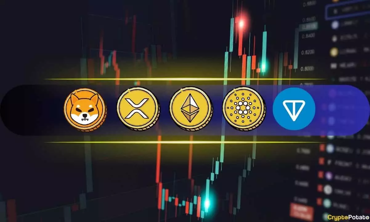 Cryptocurrency Weekly Market Update