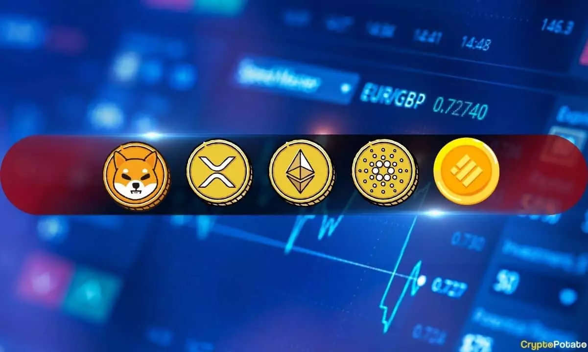 Weekly Crypto Analysis: Ethereum, Ripple, Cardano, Binance Coin, and Shiba Inu