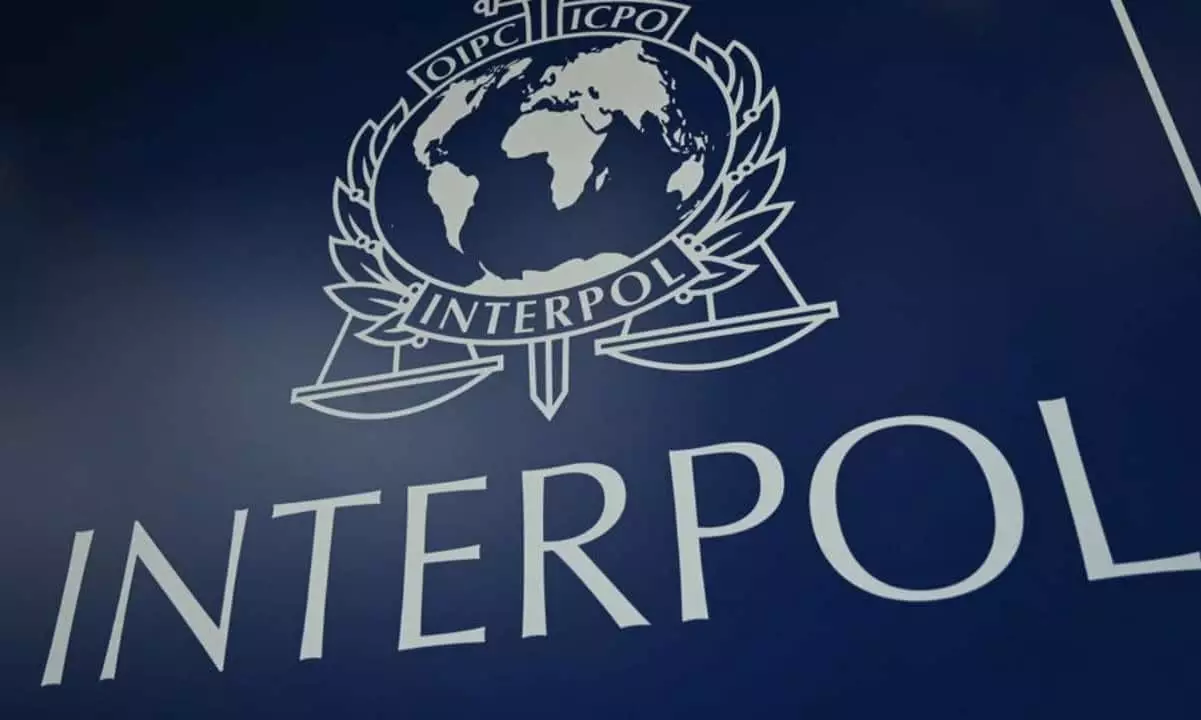 The Notorious Crypto Promoter: Wong Ching-kit’s Criminal Activities Draw Interpol’s Attention