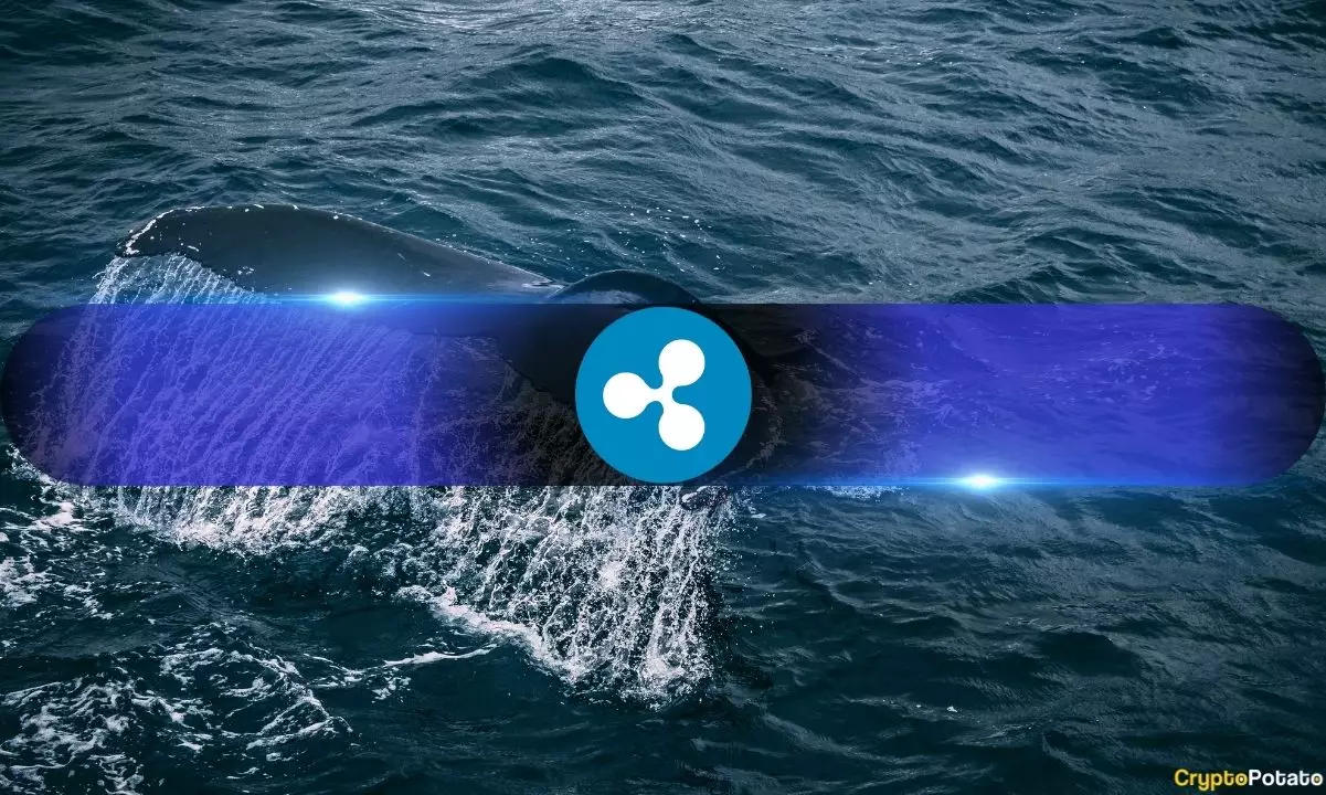 The Rise of XRP: A Decoupling Trend