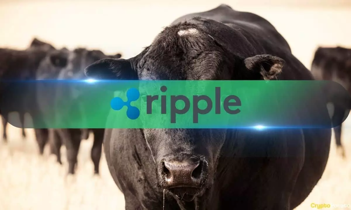 The Ripple Effect: Analyzing XRP’s Market Performance After the SEC’s Decision