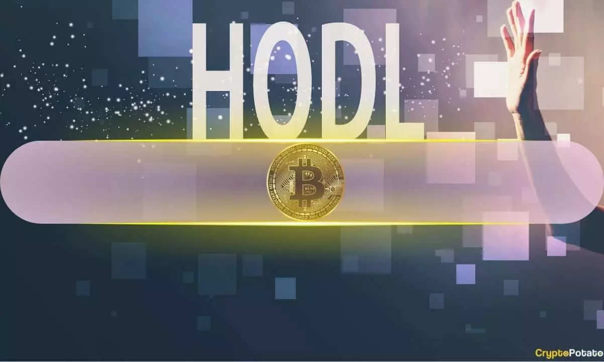 Cryptocurrency Investors Shift Towards HODLing and Accumulation Amid Market Downturn