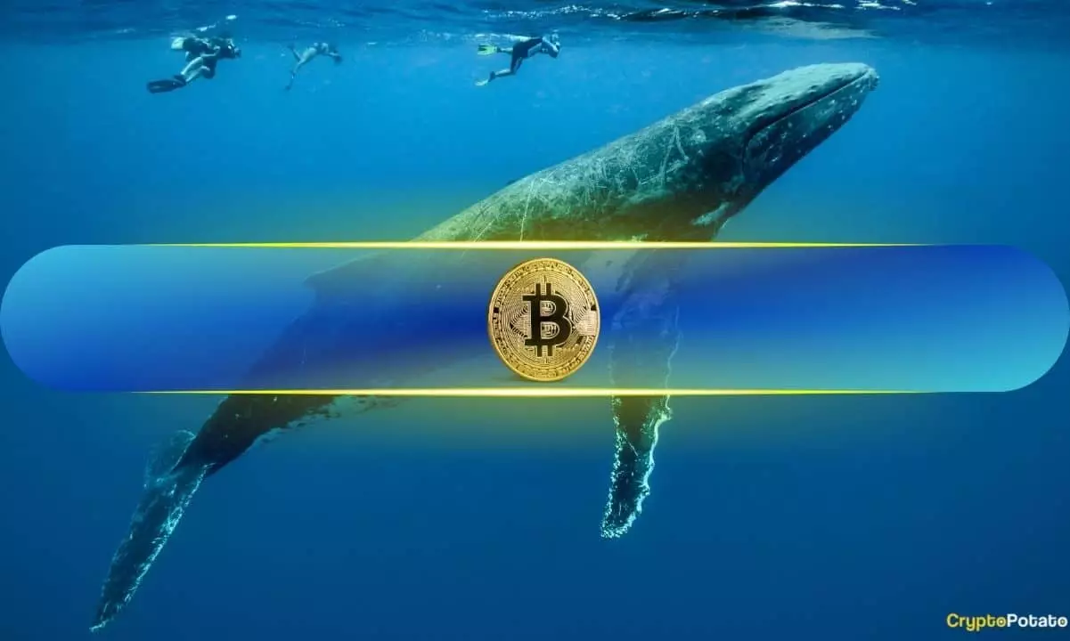 The Rise of Bitcoin Whales: A Bullish Signal for the Market