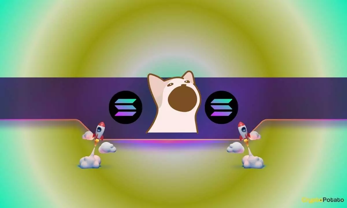 Exploring the Popularity of Popcat: A Meme Coin Phenomenon