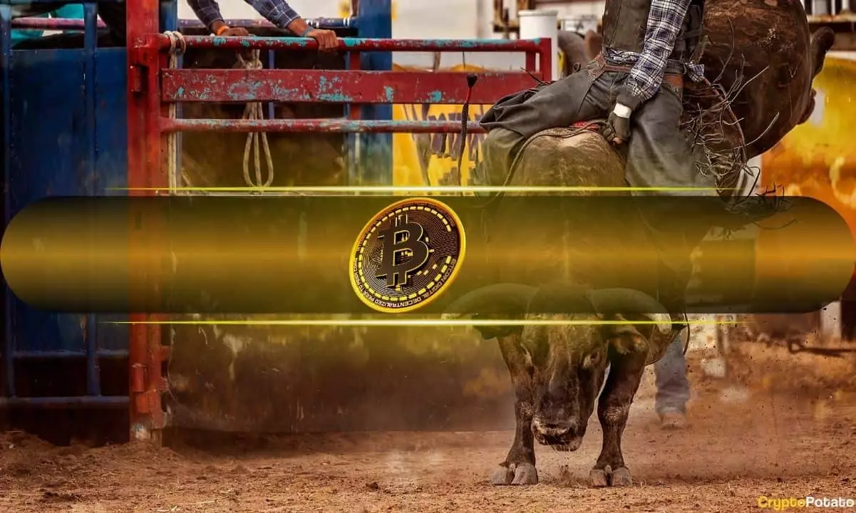 Bitcoin Bull Run: Assessing the Road to $100,000 in 2024