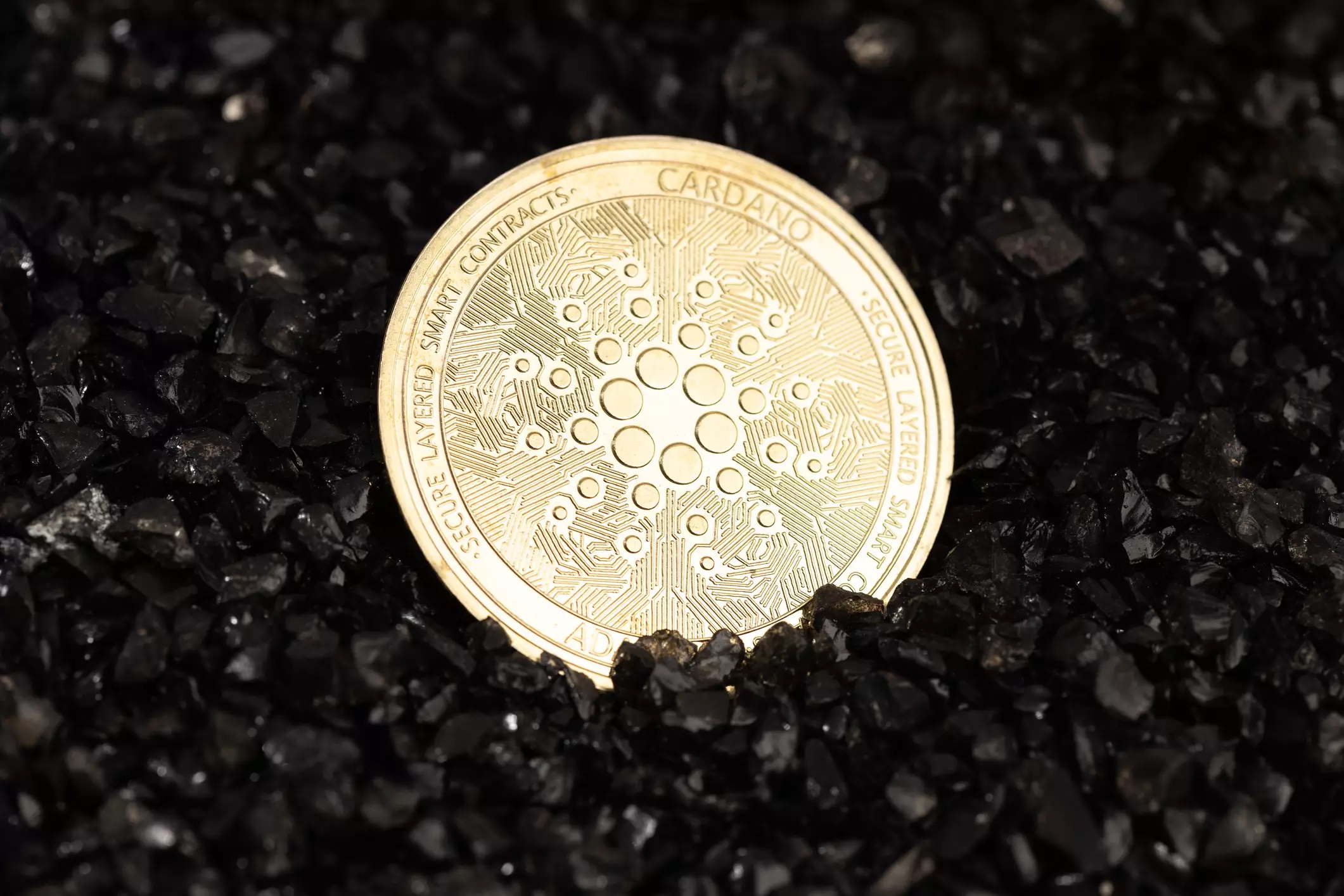 Analyzing the Potential Future of Cardano Amidst Economic Uncertainty