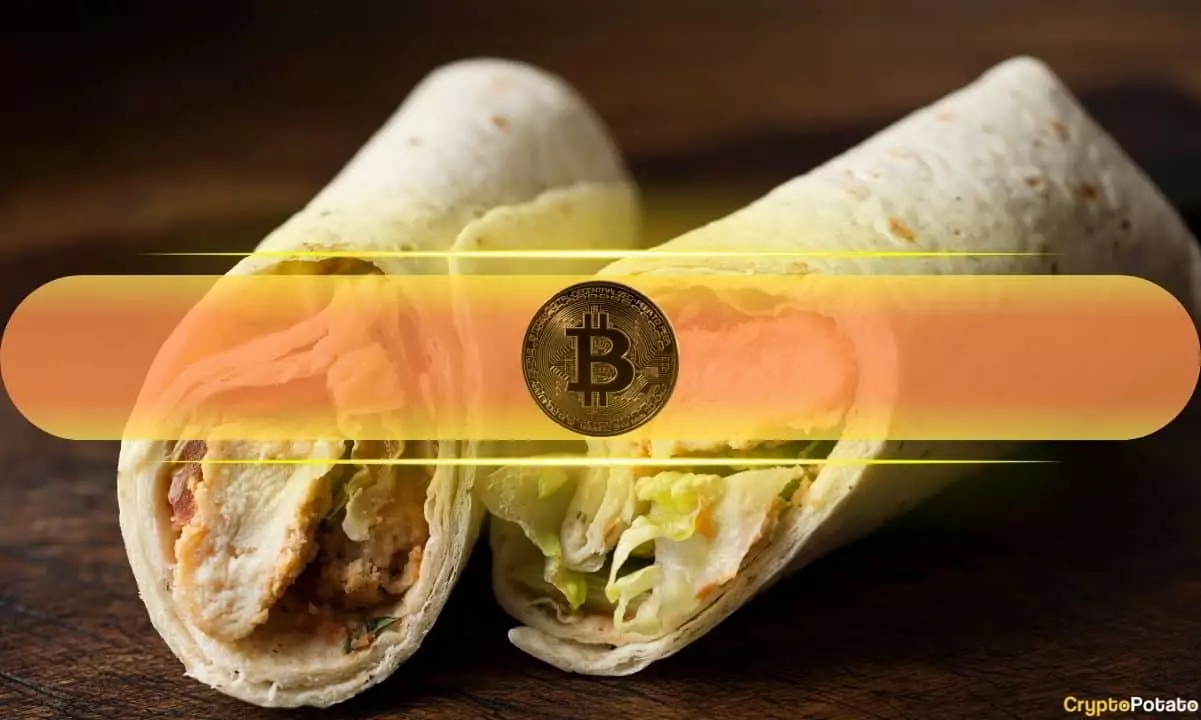 The Rise and Challenges of Wrapped Bitcoin: An In-Depth Analysis