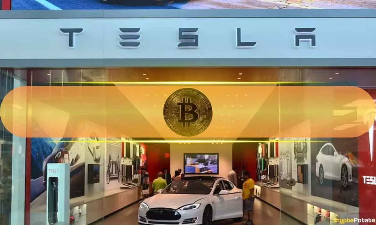 Tesla’s Bitcoin Movements: Analyzing the Ripples in the Crypto Waters