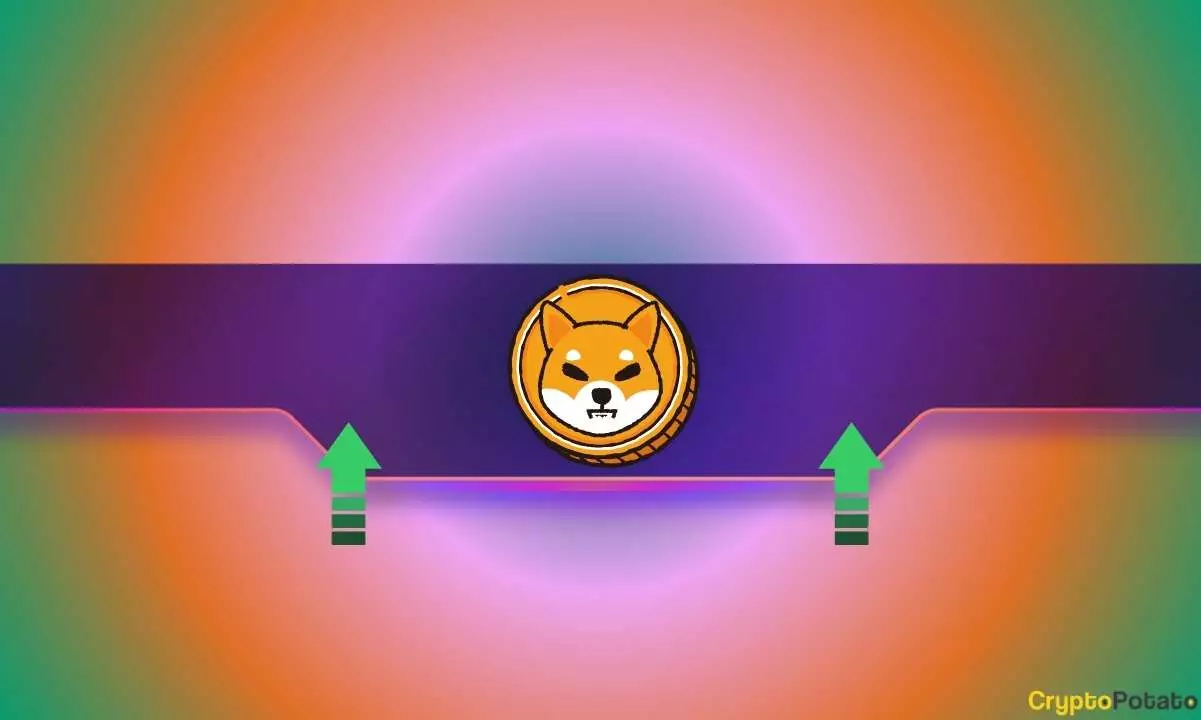 The Shiba Inu Surge: Implications and Insights into the Meme Coin Market