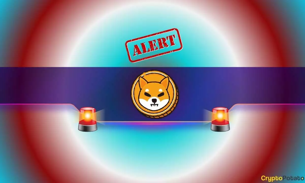 Protecting the Shiba Inu Community: Navigating Fraud and Impersonation Risks