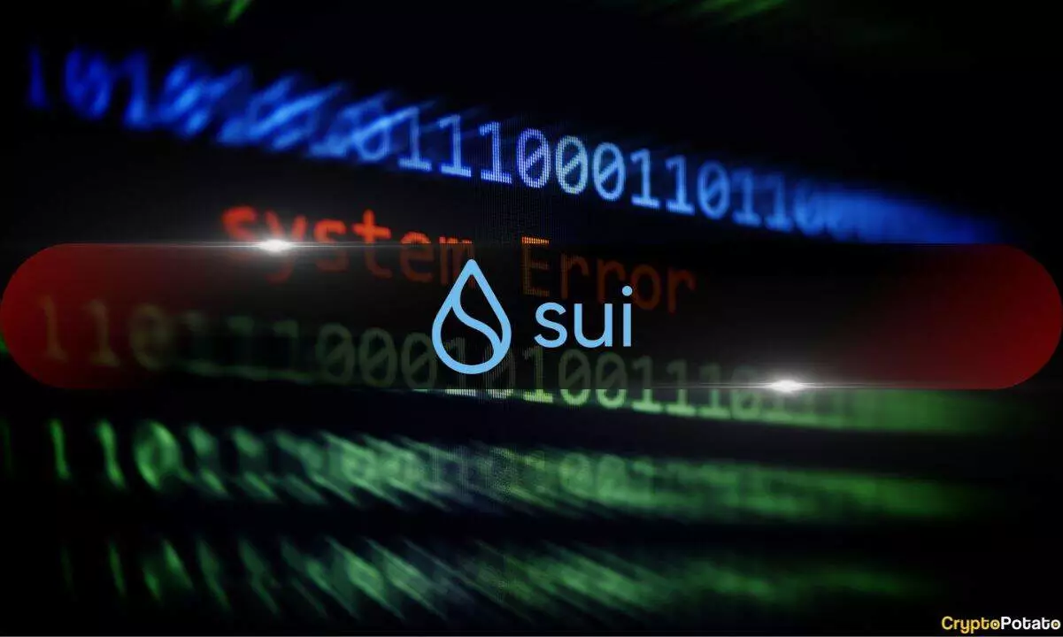 November 21st Disruption: Sui Network Faces Major Challenges Amid Ambitious Goals