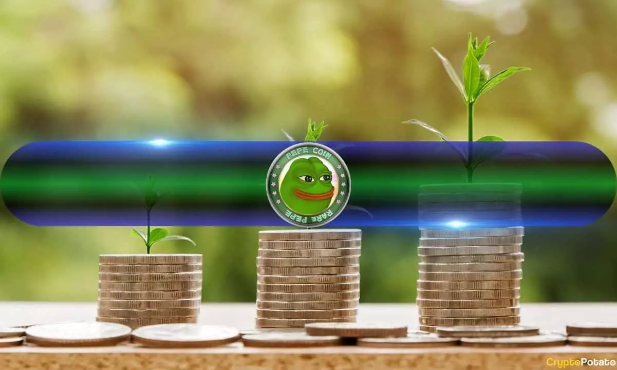 The Rise of Meme Coins: Profit and Risk in the Digital Market