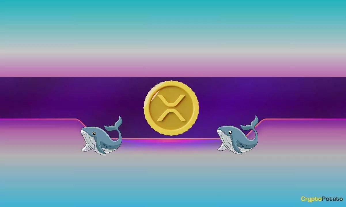 Whale Activity Amidst Crypto Turmoil: Insights into XRP and DOGE’s Potential Rebound