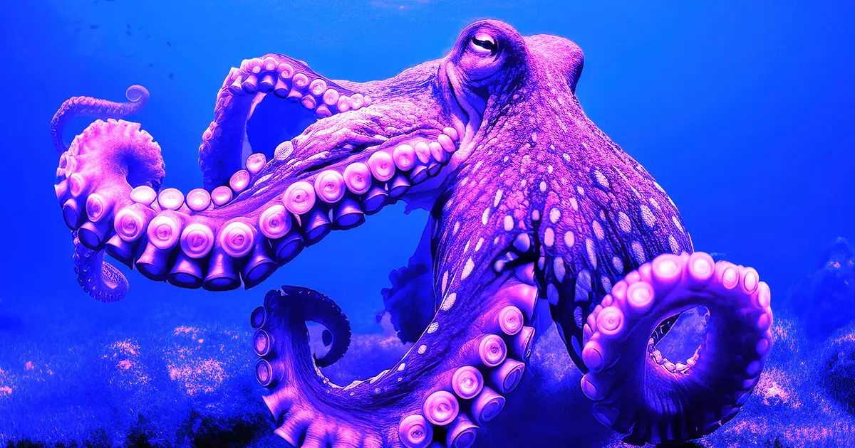 Kraken Expands Its Horizons: A Deep Dive into Their EU MiFID License Acquisition