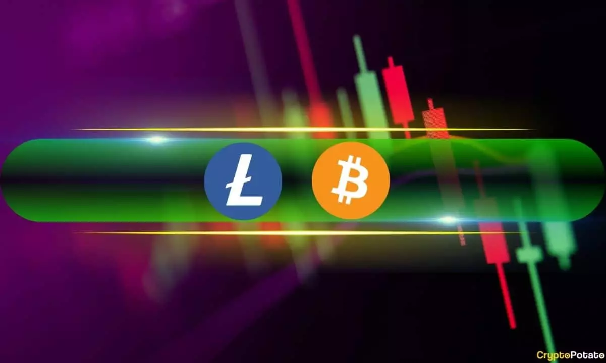 Market Fluctuations in the Cryptocurrency World: A Study of Trends and Movements