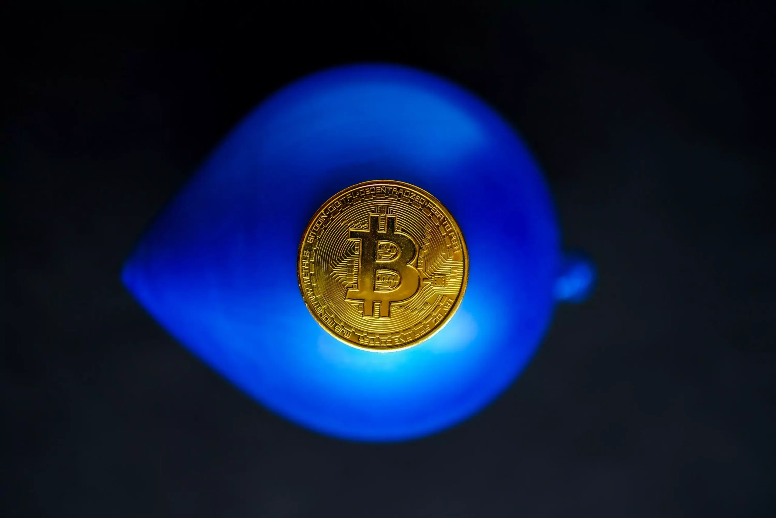 7 Surprising Traits of a Crypto Crusader: Meet Christian, the Cat-Loving Gearhead