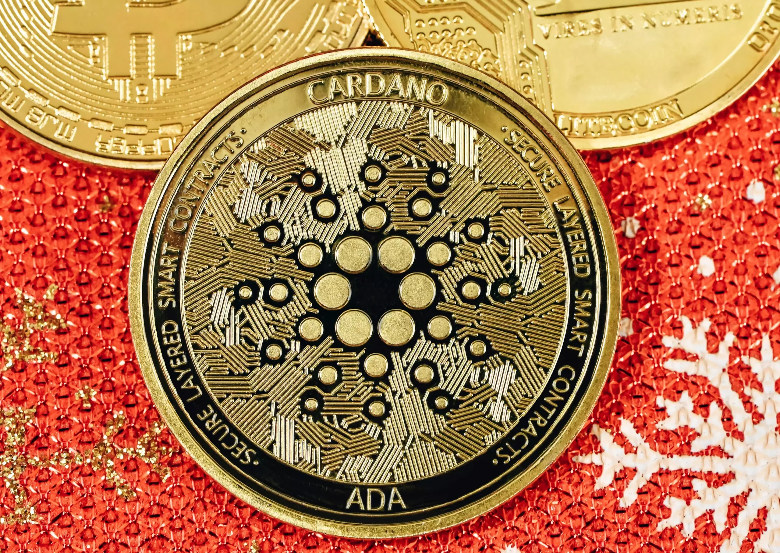 The 5 Unsettling Signals of Cardano’s Future: Brace for Impact