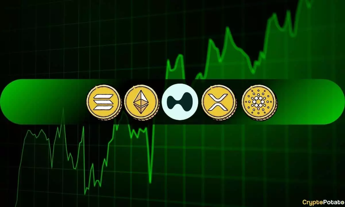 5 Damning Observations on Cryptocurrency Trends: A Room for Urgent Change