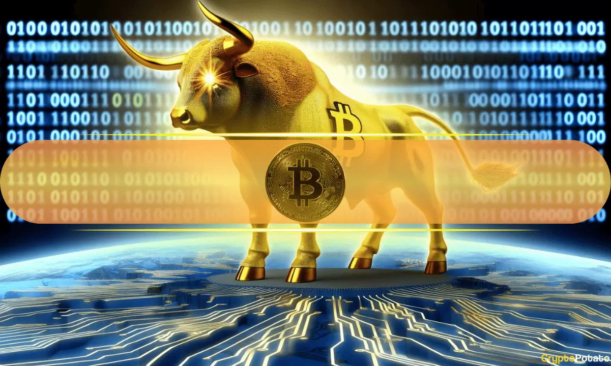 Unveiling the Illusion: Why the Current Bitcoin Rally Masks Fragile Foundations