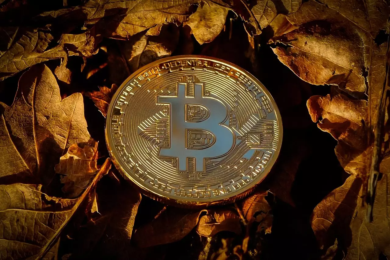 The Hidden Power of Elon Musk’s Bitcoin Moves: A Wake-Up Call for Investors