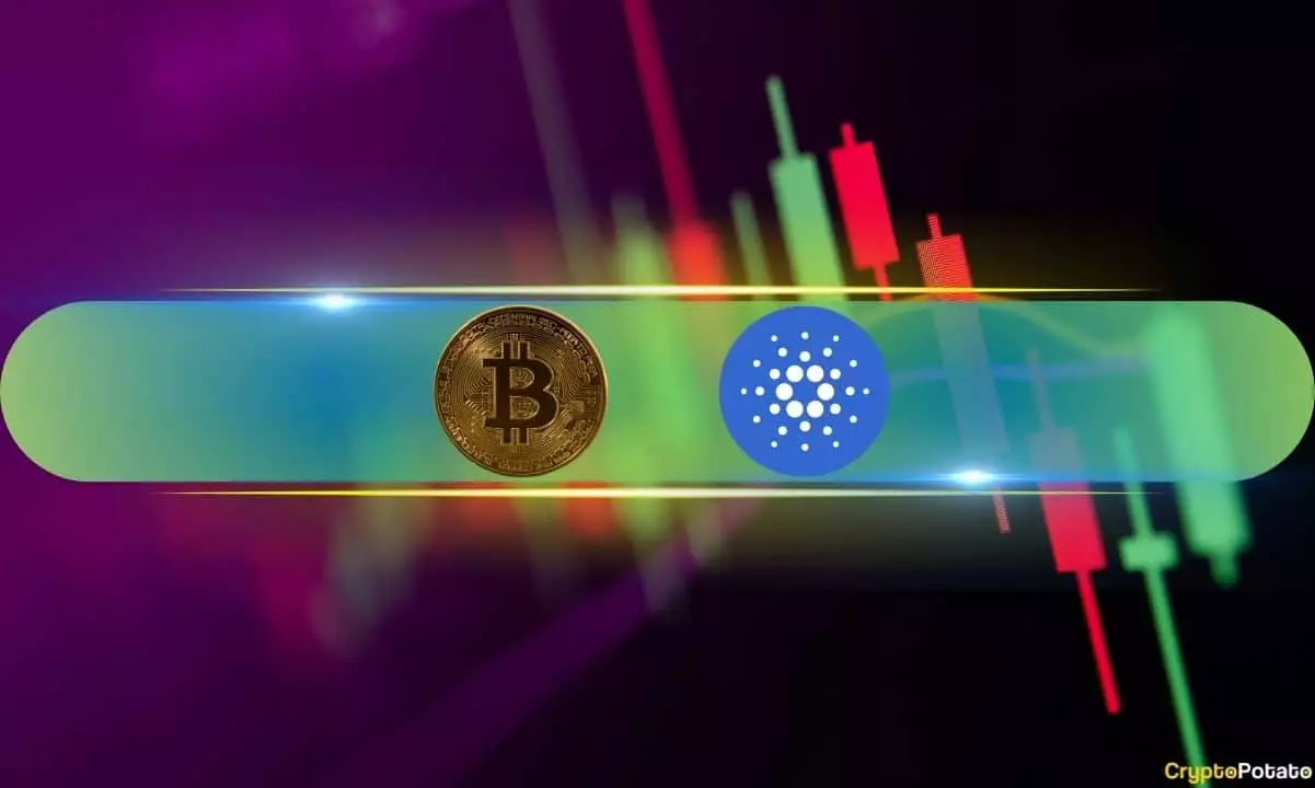 Crypto Boom or Market Mirage? The 2024 Surge’s Hidden Pitfalls